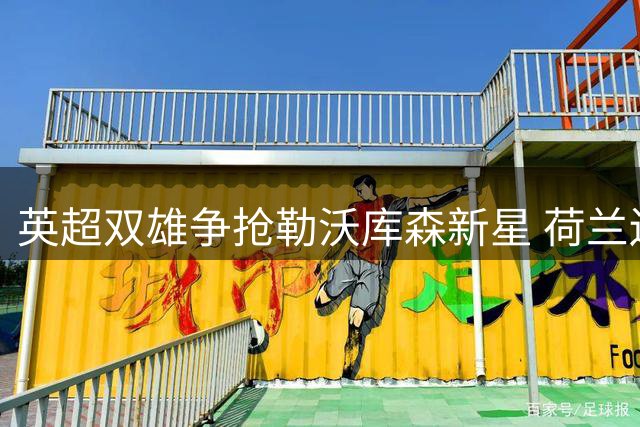 英超双雄争抢勒沃库森新星 荷兰边锋或本周完成转会